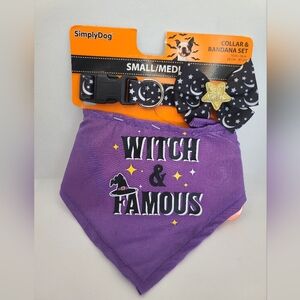 SimplyDog Witch & Famous Dog Collar and Bandana Set - Purple and Black